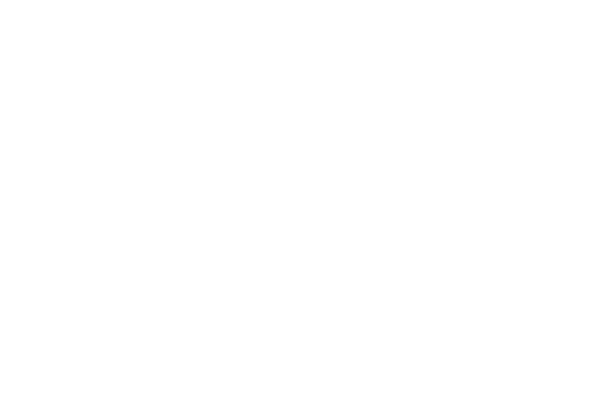 ElectroGrid Solutions